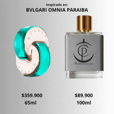 Omnia Paraiba