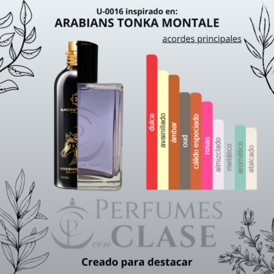 arabians tonka montale