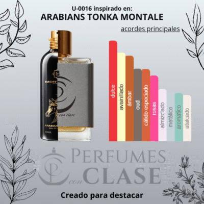 arabians tonka montale