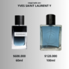 Yves Saint Laurent Y